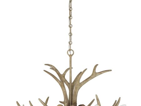 Daniels 6-Light Chandelier For Discount