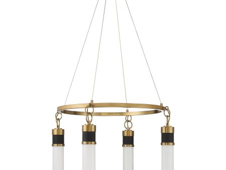 Abel 4-Light LED Chandelier Online Sale